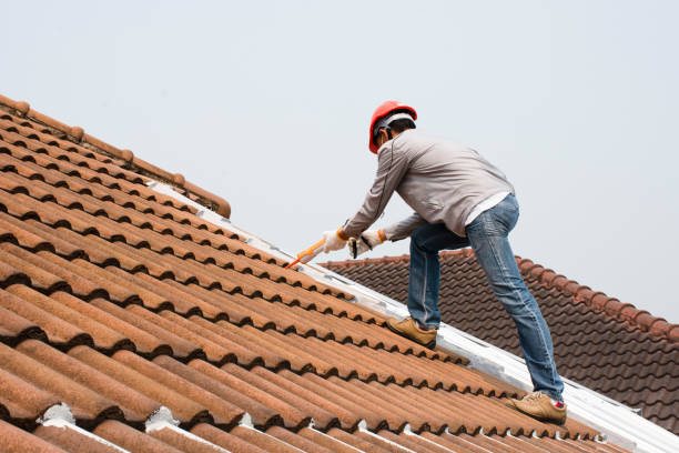 Best Storm Damage Roof Repair  in Hilliard, FL