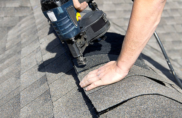 Best Roof Moss and Algae Removal  in Hilliard, FL